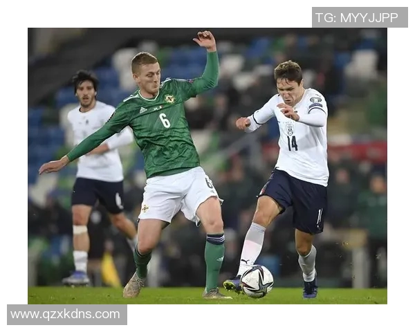 2018年法国与爱尔兰足球赛比分预测及分析展望