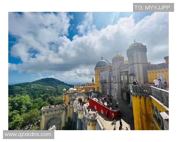 布莱克尼的魅力探秘：揭示这座城市的历史与文化之美