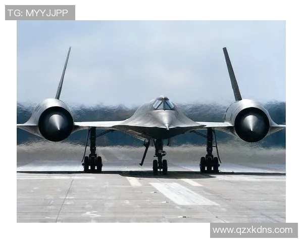 领航者与飞豹的精彩对决揭示了现代战斗机技术的巅峰之争与未来发展趋势