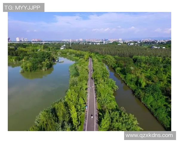 成都乒乓球队转型之路揭秘:从传统强队到现代竞技新标杆