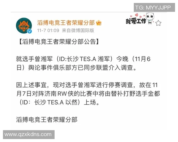 探讨TES在王者荣耀中的灵活战术与应变能力分析