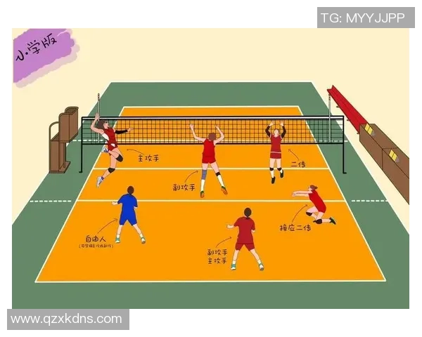 排球新手必看：从基础技术到实战技巧的全面入门指南